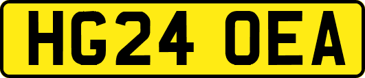 HG24OEA