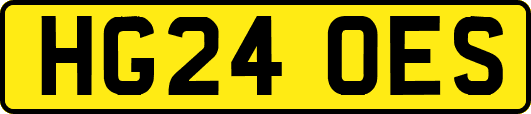 HG24OES
