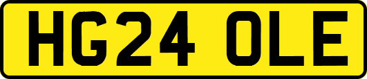 HG24OLE