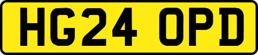 HG24OPD