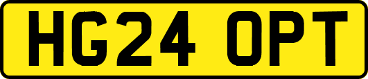 HG24OPT