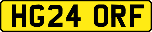HG24ORF