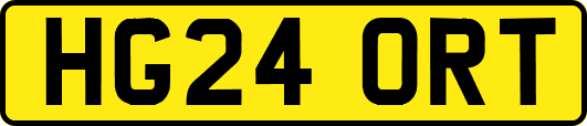 HG24ORT