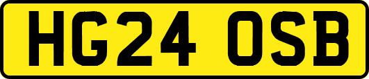 HG24OSB