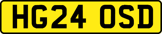 HG24OSD