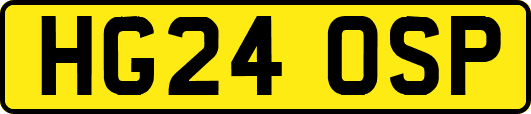 HG24OSP