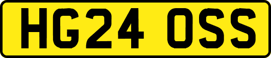 HG24OSS