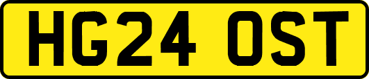 HG24OST