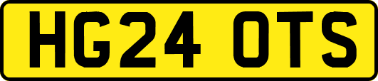 HG24OTS
