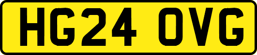 HG24OVG