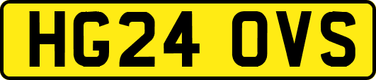 HG24OVS