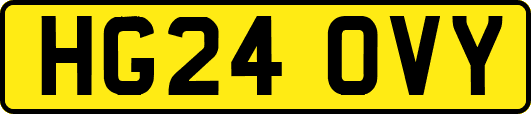 HG24OVY