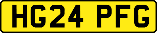 HG24PFG