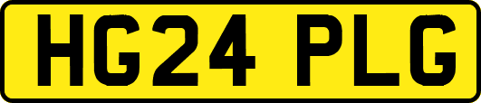 HG24PLG