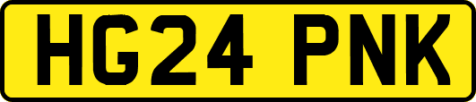 HG24PNK