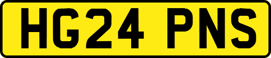 HG24PNS