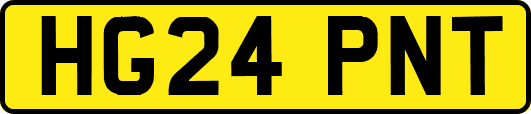 HG24PNT