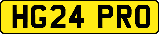 HG24PRO