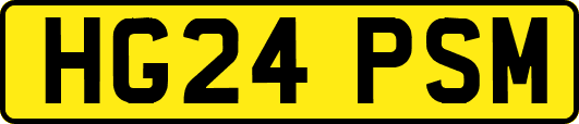 HG24PSM