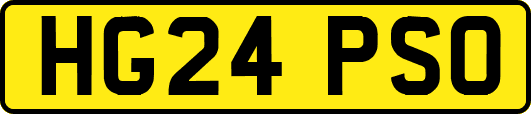 HG24PSO