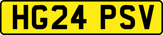 HG24PSV