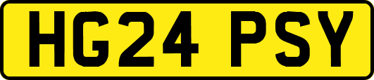 HG24PSY