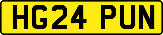 HG24PUN