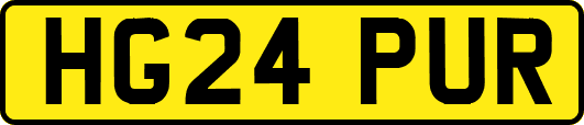 HG24PUR