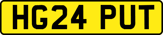 HG24PUT