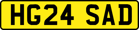 HG24SAD
