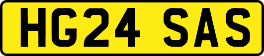 HG24SAS