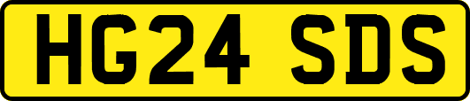 HG24SDS