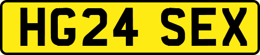 HG24SEX