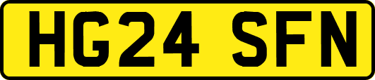 HG24SFN