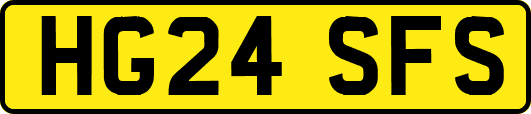 HG24SFS