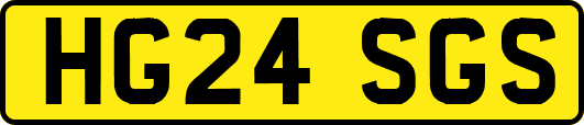 HG24SGS