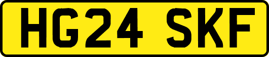 HG24SKF