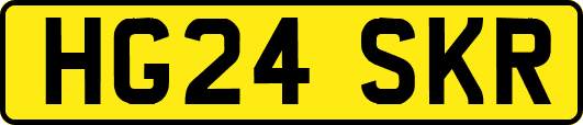 HG24SKR