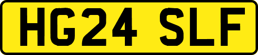 HG24SLF