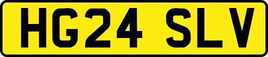 HG24SLV