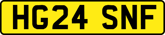 HG24SNF