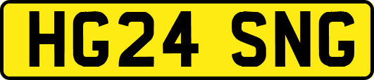 HG24SNG
