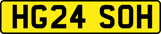 HG24SOH