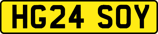 HG24SOY