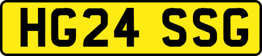 HG24SSG