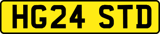 HG24STD