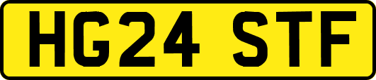 HG24STF