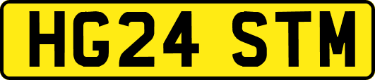 HG24STM