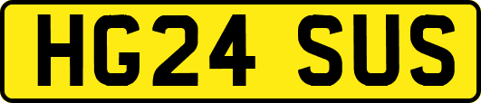 HG24SUS