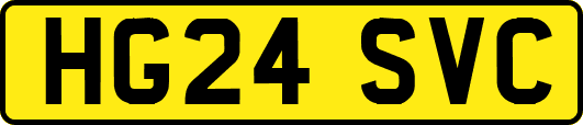 HG24SVC